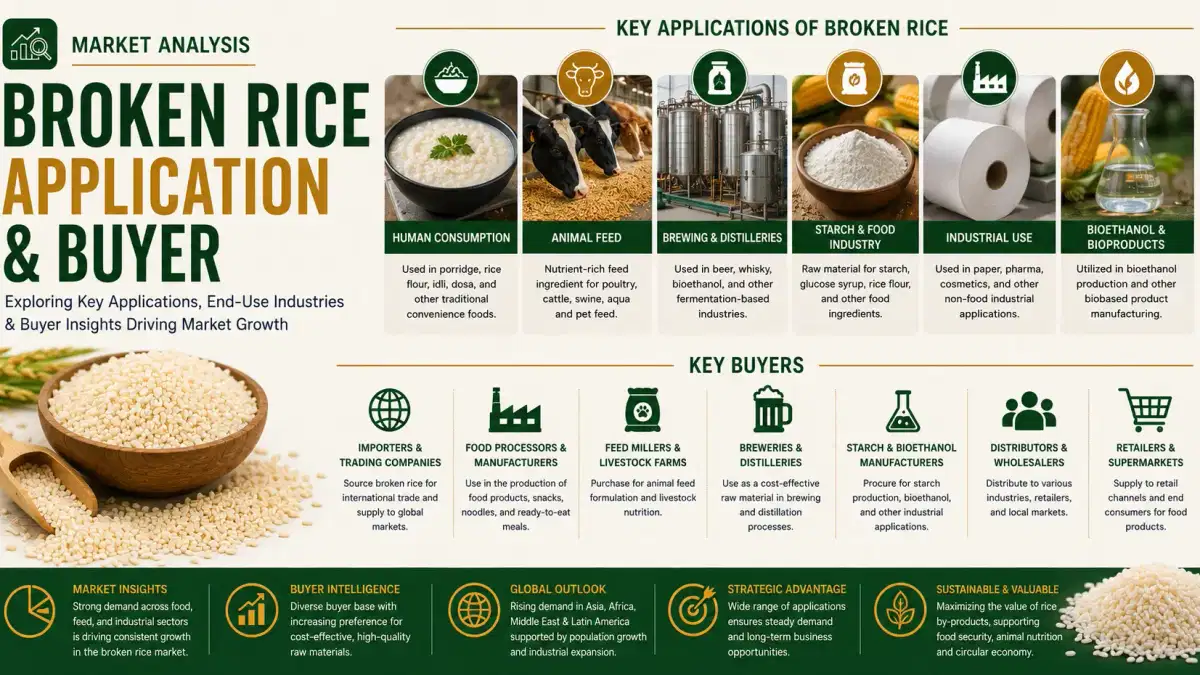 Mercado de arroz quebrado 2026: solicitudes, compradores y perspectivas de la demanda mundial