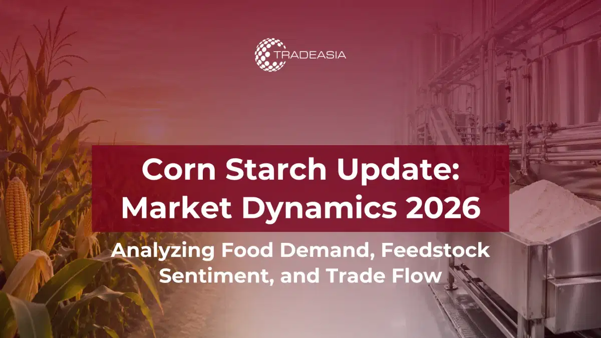 Corn Starch Market Dynamics 2026: Food Demand, Feedstock Sentiment & Trade Flow