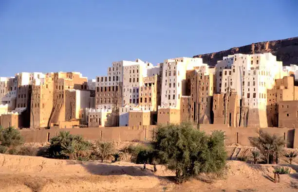 Yemen's Internal Divide Deepens Amid the Houthi Embargo Declaration