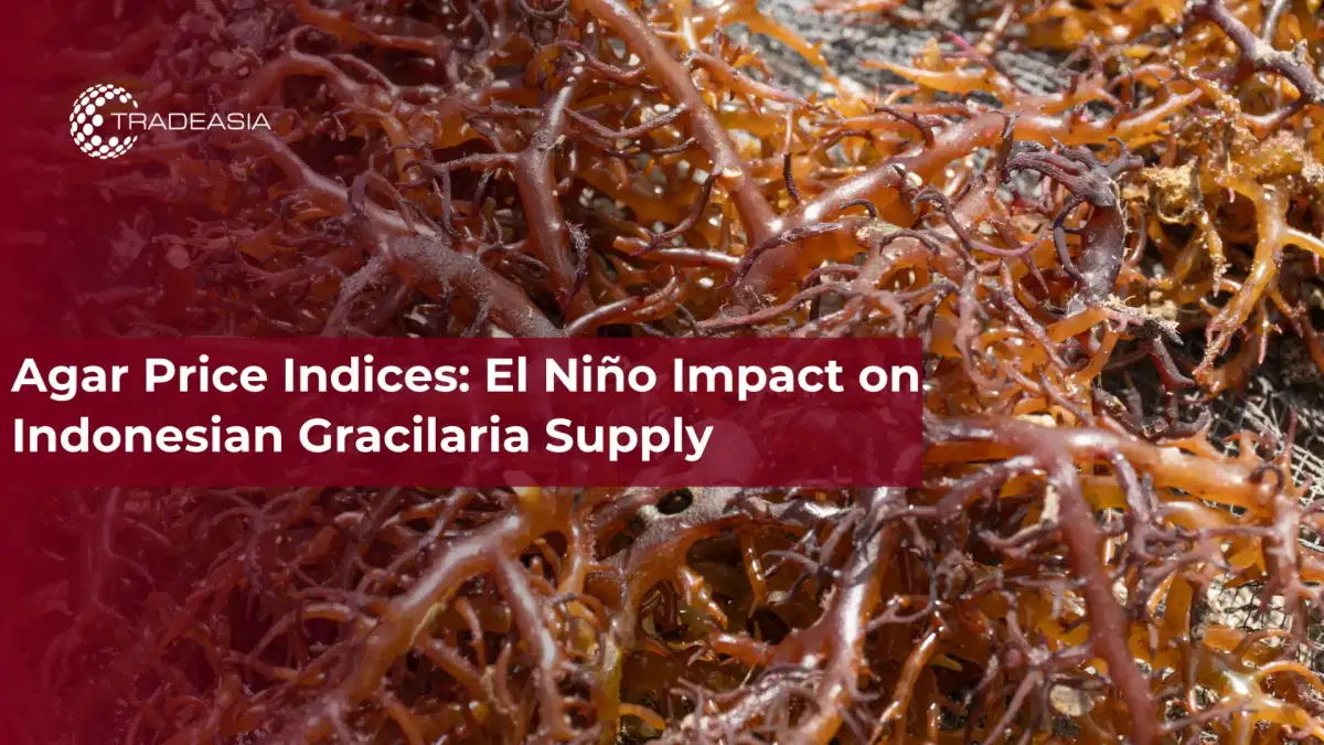 Agar Price Indices: El Niño Impact on Indonesian Gracilaria Supply