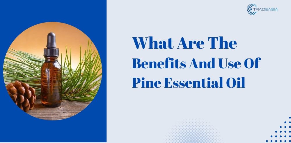 What Is Pine Essential Oil